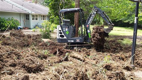 bamboo removal with mini excavator|removing bamboo from property.